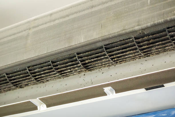 Best Affordable HVAC Duct Cleaning  in Aberdeen, MS